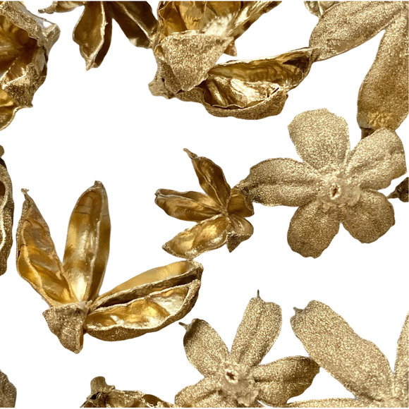 Dried Gold flowers | homegrown and handmade preserved Hibiscus seed pods - Picture 4 of 8